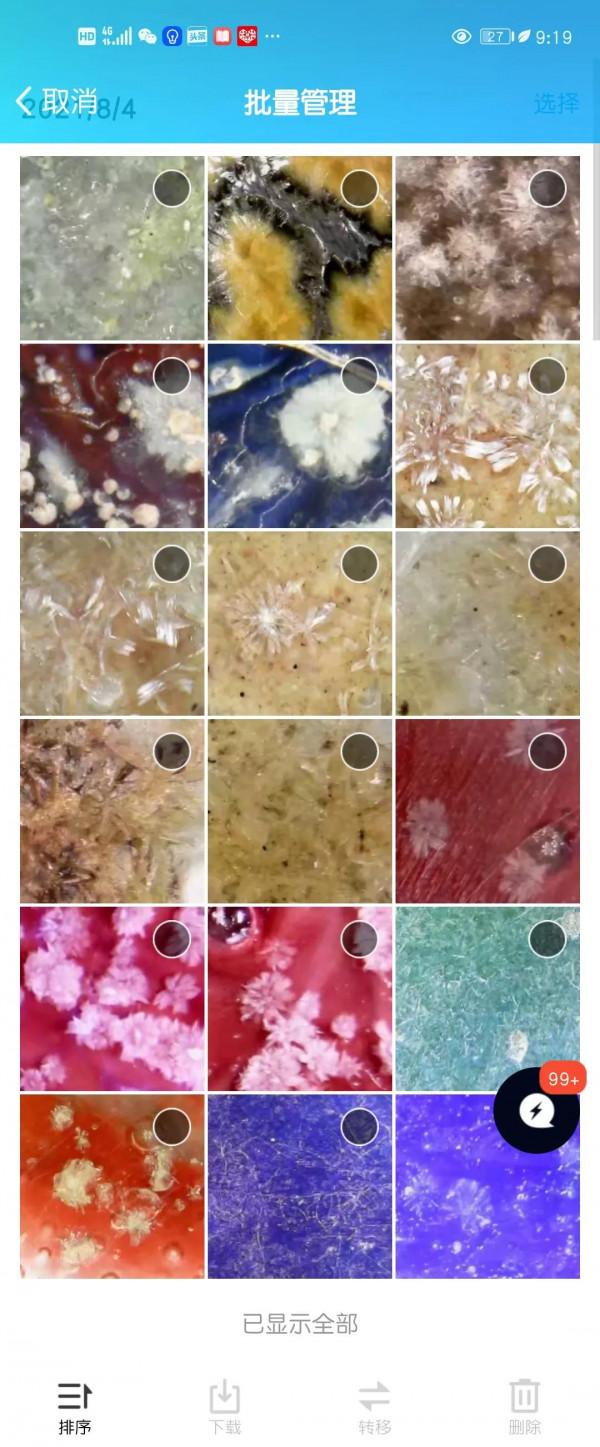 再論老化痕跡鑑定古陶瓷 再論老化痕跡鑑定古陶瓷