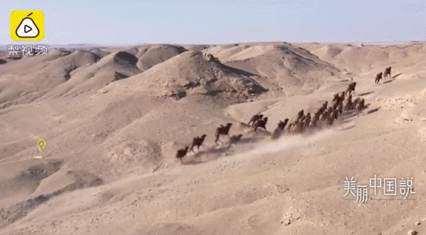 202“憶”② | 這些不期而遇，有靈且美！