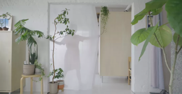 35㎡老破小爆改神作！裝下兩個書房、植物園、三分離衛生間