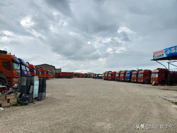 兩千字手稿：鄉村振興機會點有這十個