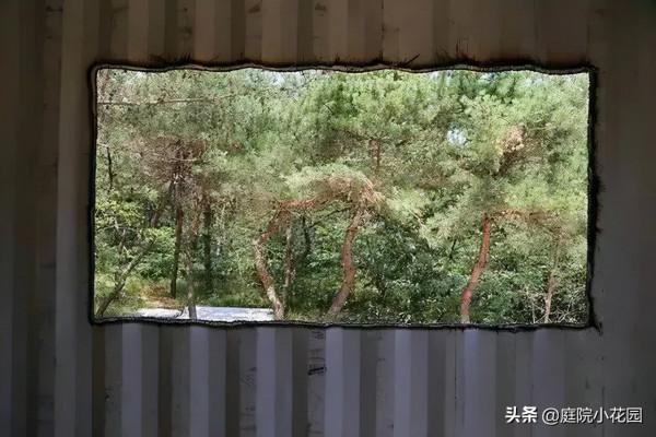 他賣掉城裡的房子，包了個山頭，打造集裝箱陽光房、小木屋、花園