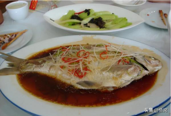 武昌魚和鯿魚,釣魚人還能傻傻分不清? 武昌魚和鯿魚,釣魚人還能傻傻分不清?