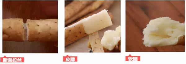 【馬博士女性&OpenCurlyDoubleQuote;養生館&rdquo;】藥食同源： &OpenCurlyDoubleQuote;三髒&rdquo;同養之佳品山藥的選擇