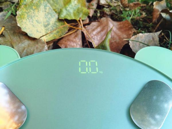 咕咚智慧小魔獸體脂秤,讓減肥方向更加明確 咕咚智慧小魔獸體脂秤,讓減肥方向更加明確