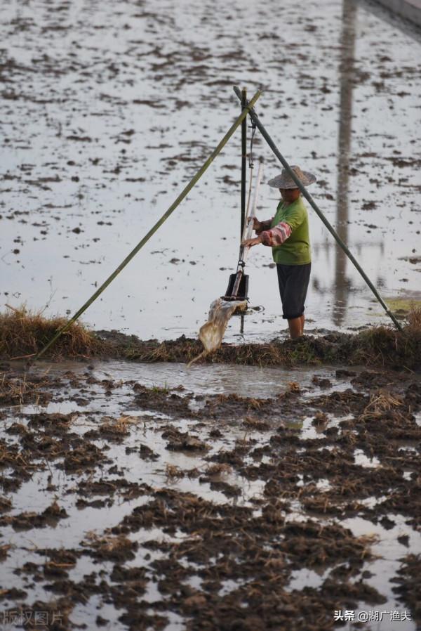 湖北話這些常用詞彙，您會寫嗎（第二批）