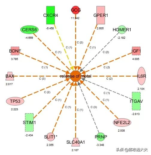 一文解鎖機制研究神器——IPA分析 一文解鎖機制研究神器——IPA分析