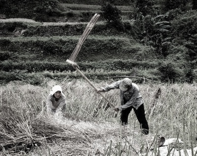 60~70年代農村20種稀少的老物件，滿滿的年代感，而我們卻老了