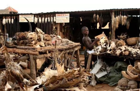 跟柬埔寨血奴同樣骯髒的，還有屢禁不止的印度人骨貿易