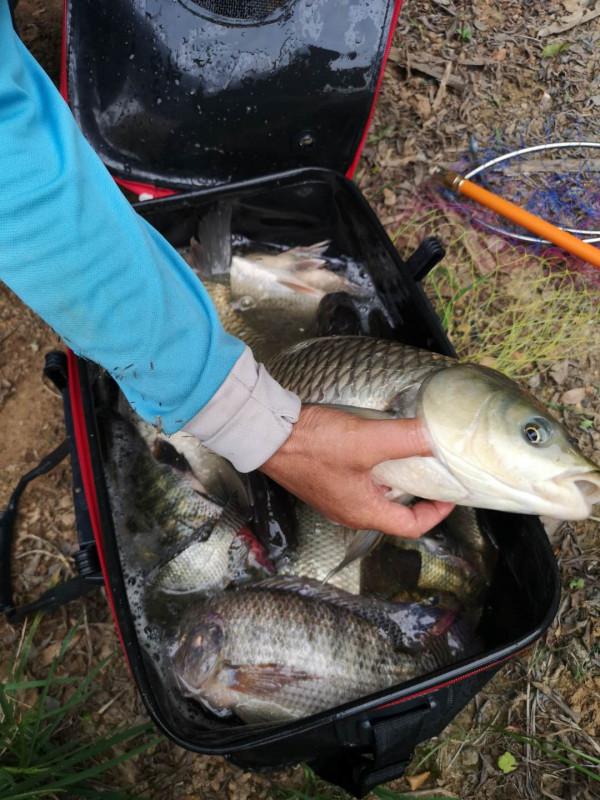 為什麼按照大師教的做了還是釣不到魚？原因有三點