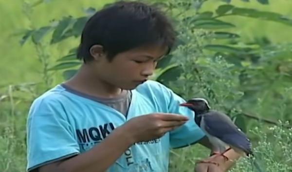湖南一少年通曉鳥語，能引導鳥兒做事，傳聞中的“鳥神”被找到？