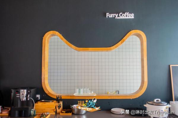 不去日本也能看“貓島”啦:大吉祥村貓公館 不去日本也能看“貓島”啦:大吉祥村貓公館