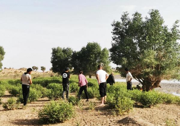 中國唯一的原始部落克里雅人，他們近況如何（青新甘13、14、15）