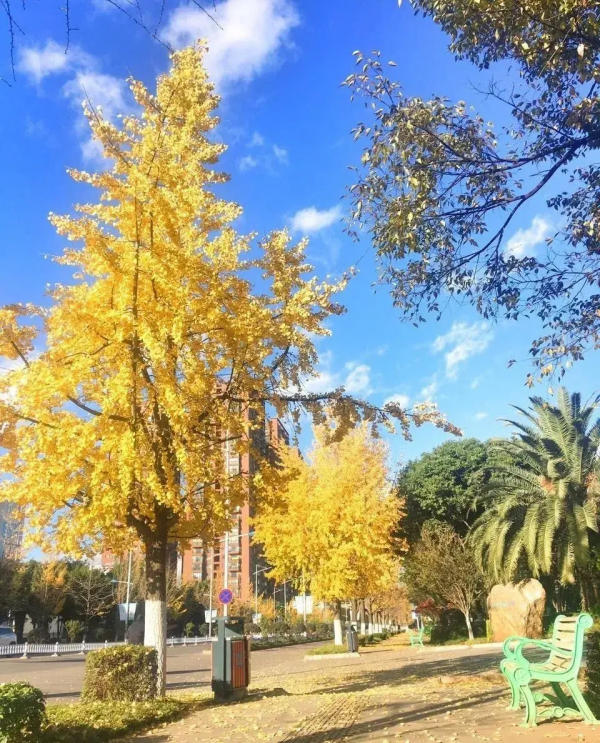 冬天必去的9個旅行地，背上心愛的相機，挑一個，現在就出發？