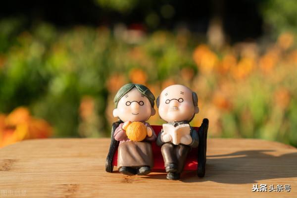 抱養(短篇小說) 抱養(短篇小說)