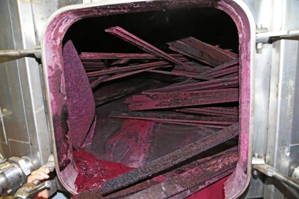 10年深度+豪華遊玩60國