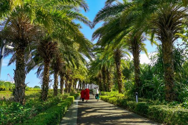 海南:日月灣是婚紗拍照的好地方 海南:日月灣是婚紗拍照的好地方