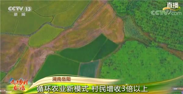 走進鄉村看小康 走進鄉村看小康