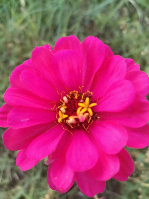 激勵讓你的人生別樣精彩 激勵讓你的人生別樣精彩