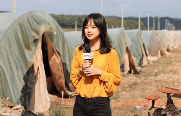 為啥要把央視記者王冰冰&OpenCurlyDoubleQuote;娛樂化&rdquo;，戴個眼鏡也能上熱搜？