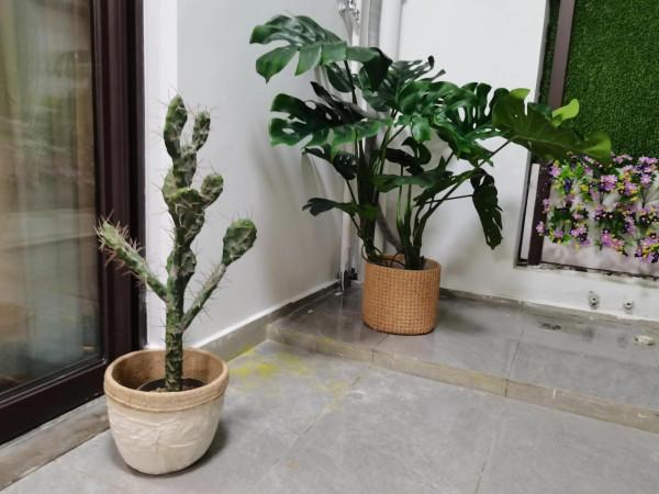 又一個絕美的裝修風格 精緻軟裝 又一個絕美的裝修風格 精緻軟裝