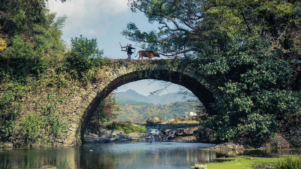 官宣清零！出遊有望！搭上12月末班車，去看看古楓成林的浪漫秋色