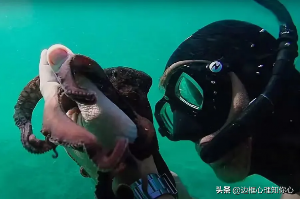 適合12星座男女,一起看的電影,你看過幾部? 適合12星座男女,一起看的電影,你看過幾部?