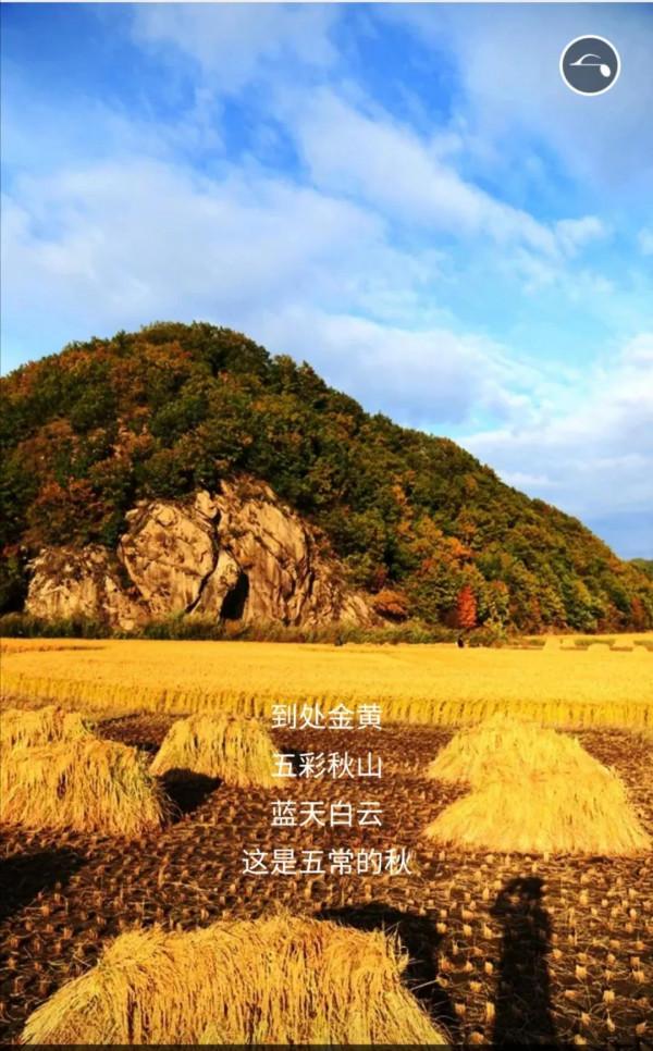 五常的秋天，不想和你說再見