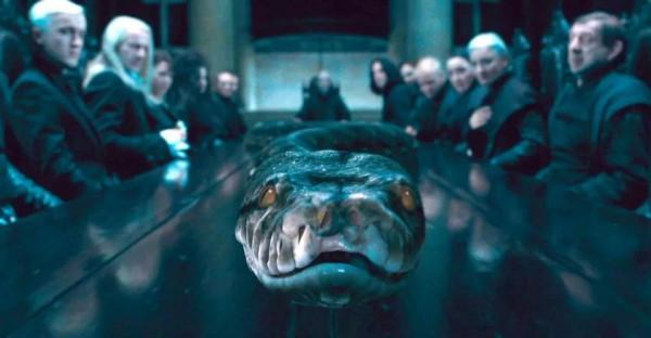 《哈利波特》納吉尼為什麼會死心塌地地跟著伏地魔? 《哈利波特》納吉尼為什麼會死心塌地地跟著伏地魔?