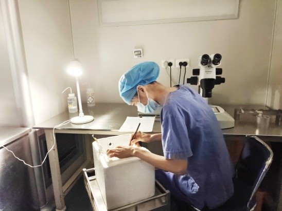 今天是“世界胚胎學家日”，圖文揭秘試管嬰兒的全過程