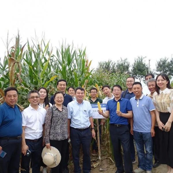 農村中心深入田間地頭調研種業科技創新 農村中心深入田間地頭調研種業科技創新