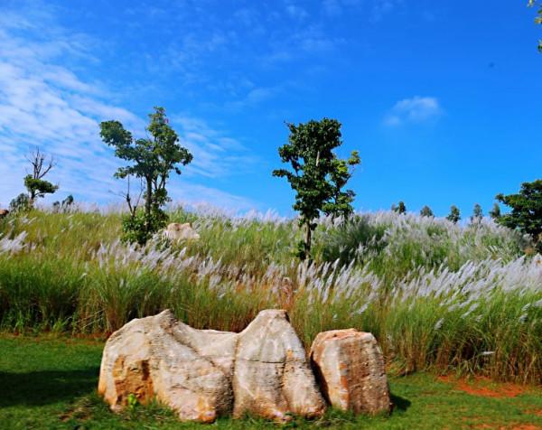 彌勒太平湖森林木屋酒店是最好的休閒、度假、養生天堂 彌勒太平湖森林木屋酒店是最好的休閒、度假、養生天堂