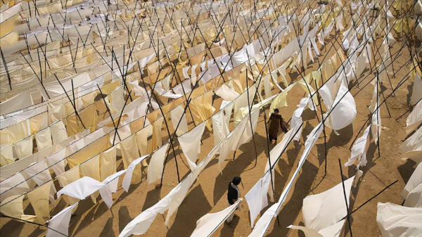 直戳人心的印度電影,姐姐被欺辱反入獄,弟弟卻照顧起仇人一家 直戳人心的印度電影,姐姐被欺辱反入獄,弟弟卻照顧起仇人一家