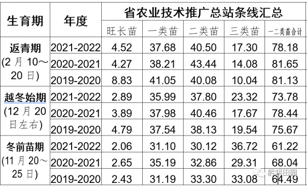 小麥返青期苗情綜合研判及田管建議