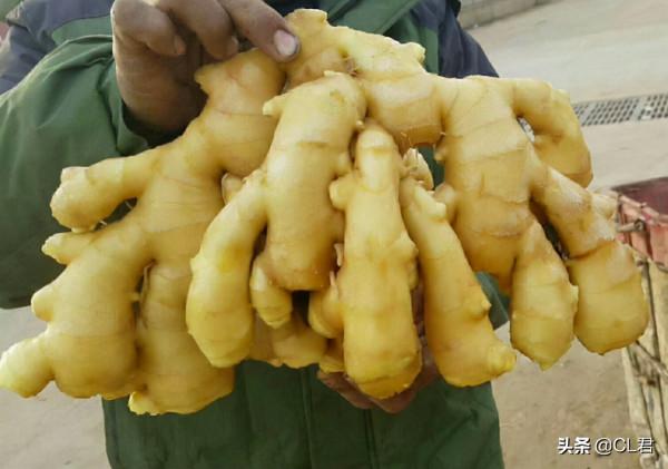 大蔥、大蒜強勢迴歸，大姜進退兩難，蘋果跌落低谷，草魚如何了？