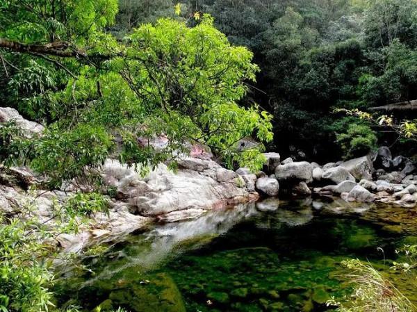 分享—十萬大山風光