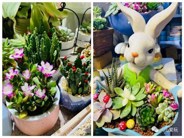 京城八大寶藏花市裡,藏著孩子最愛的植物園和水族館,冬日逛起來 京城八大寶藏花市裡,藏著孩子最愛的植物園和水族館,冬日逛起來