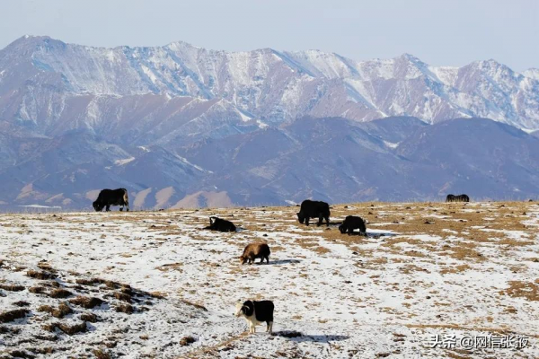 山丹馬場冬日景色美