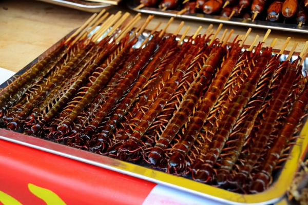 挑戰雲南美食，舌尖上的蟲子