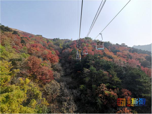 領略深秋慕田峪長城的層林盡染 感受明長城文化的精華 領略深秋慕田峪長城的層林盡染 感受明長城文化的精華