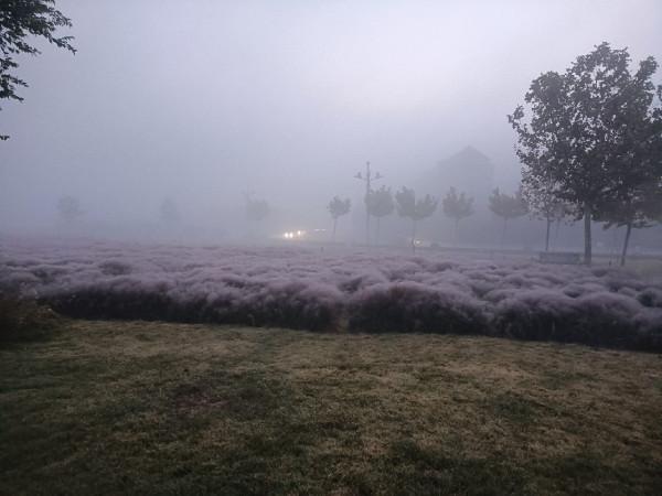 傳統釣第三天，使用逗釣600克大黃金鯽成功入護