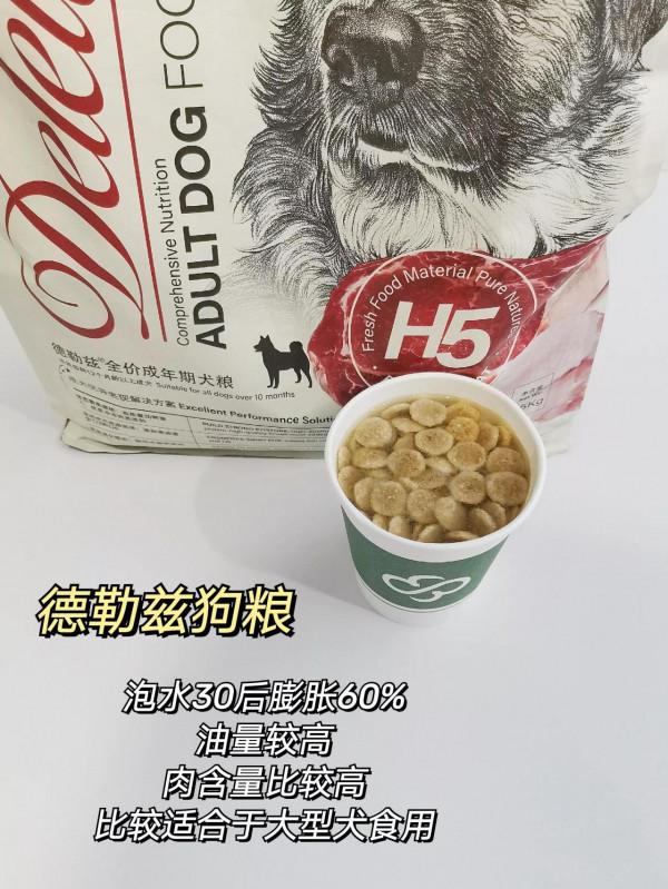 泡水居然可以讓狗糧自動呈現好壞很多時候都在為狗糧的好壞而煩惱