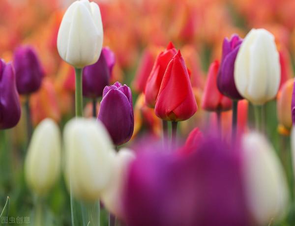 長期服用美託洛爾會怎樣？有什麼注意事項？來聽聽專家怎麼說