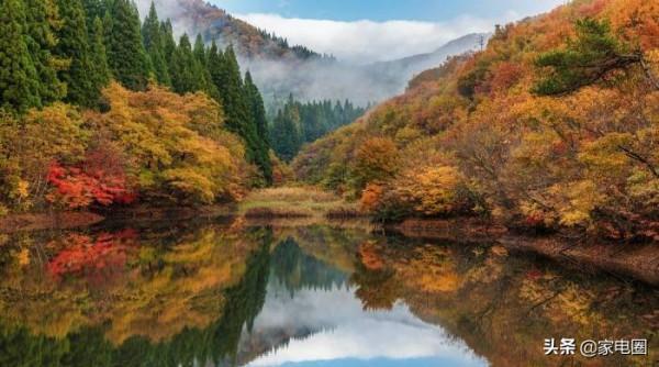 家電零售業的新拐點,網店正在淪為下一個實體店? 家電零售業的新拐點,網店正在淪為下一個實體店?