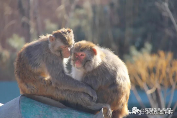 「溫情時刻」定格瞬間，感受美好
