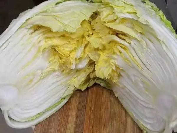 李琴：酸白菜，那牽動著的情思