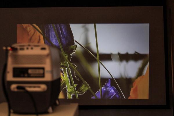 HOMAX享受家庭巨幕電影：泰捷WEBOX T1s智慧投影