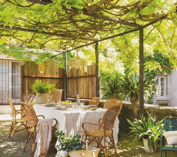 院子朝西的一面,夏季高溫容易被太陽光暴曬,怎麼辦? 院子朝西的一面,夏季高溫容易被太陽光暴曬,怎麼辦?