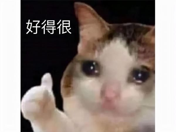 網易慫了？原本88元的道具，玩家吐槽後連夜改免費，還倒貼點卡？