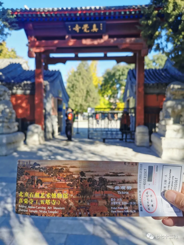 北京金秋賞銀杏 | 五塔寺 北京金秋賞銀杏 | 五塔寺