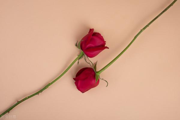 有好處不一定會出來邀功,但是你有難他一定會幫你的好人星座 有好處不一定會出來邀功,但是你有難他一定會幫你的好人星座